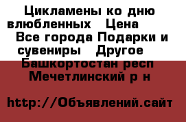 Цикламены ко дню влюбленных › Цена ­ 180 - Все города Подарки и сувениры » Другое   . Башкортостан респ.,Мечетлинский р-н